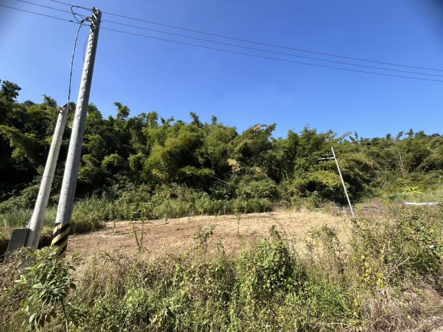 台南左鎮農地-1