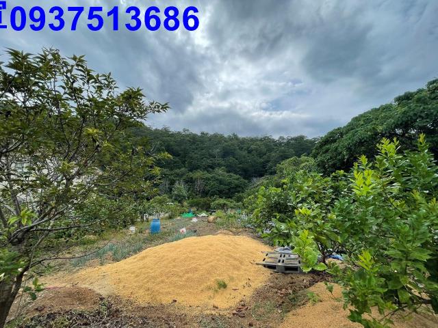 宜蘭員山農地-3