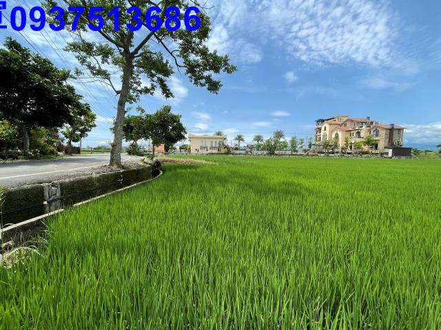 宜蘭礁溪農地-2