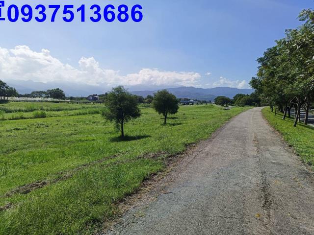 宜蘭三星農地-11