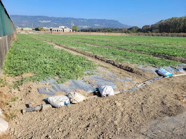高雄農地-2