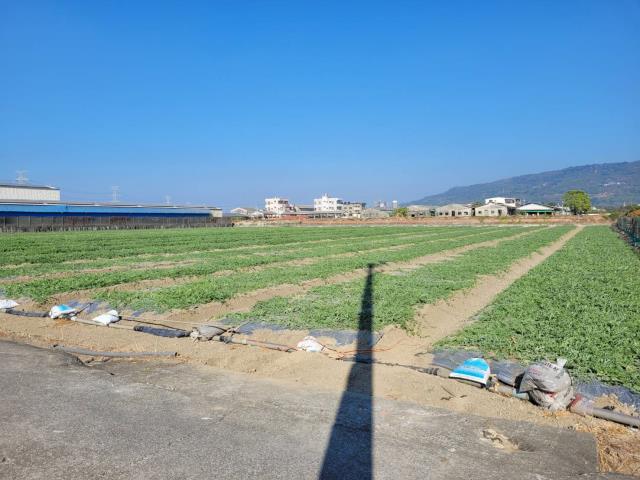 高雄農地-4