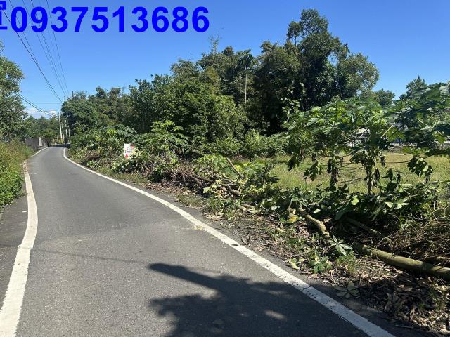 宜蘭礁溪農地-3