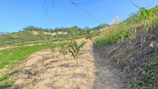 新竹北埔農地-5