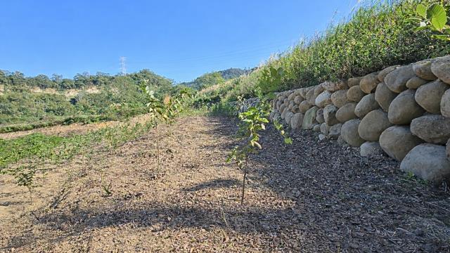 新竹北埔農地-9