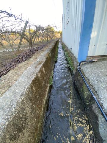 台中東勢農地-7