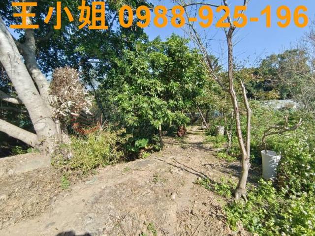 桃園桃園區農地-1