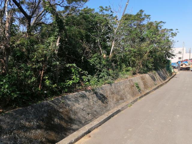 桃園中壢農地-8