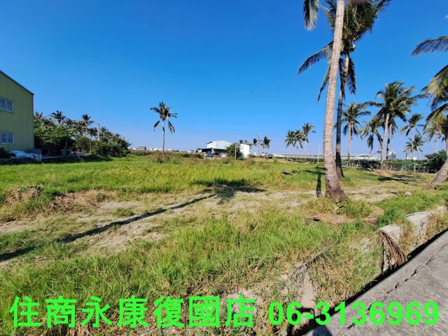 台南西港農地-2