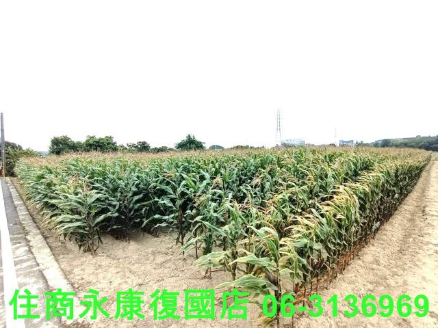 永康農地-1