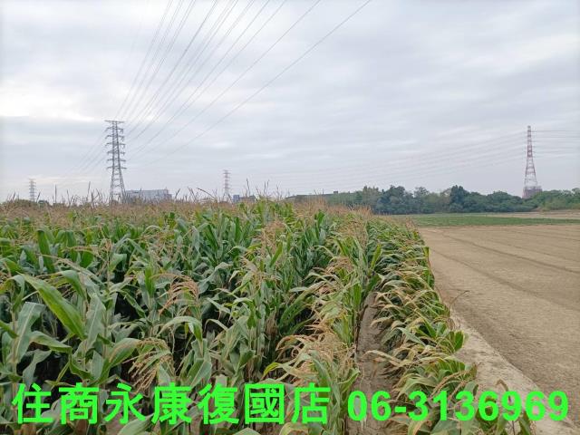 永康農地-3