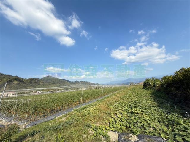 高雄農地-1