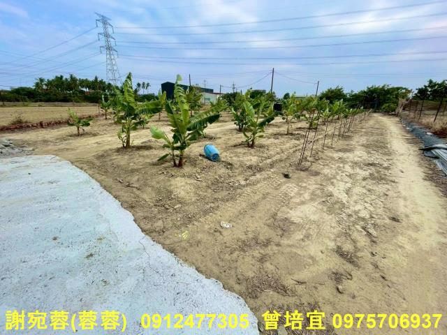高雄農地-3