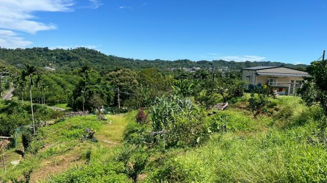 新竹峨眉農地-10