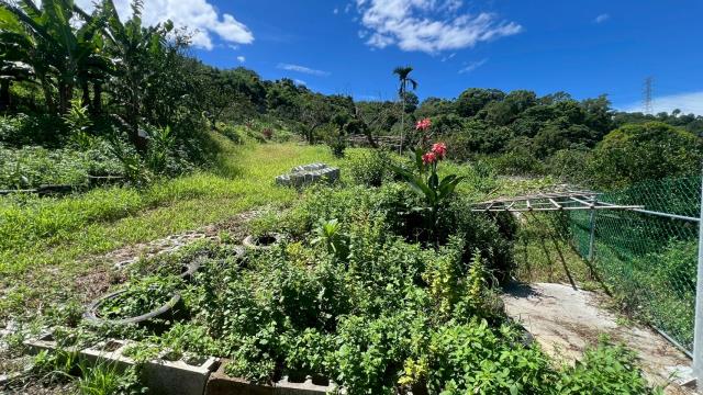 新竹峨眉農地-14