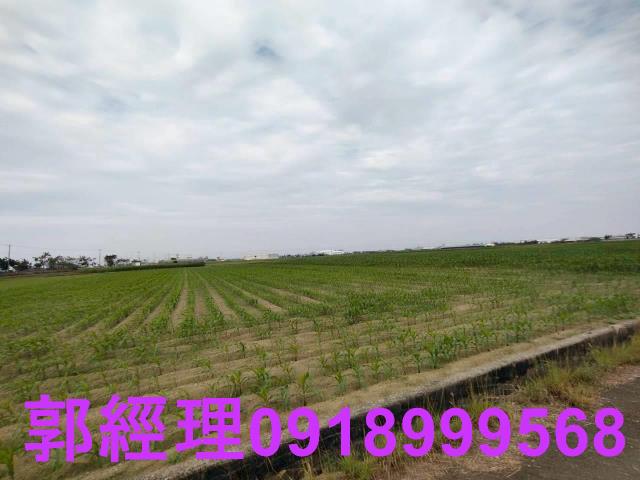 台南農地-1