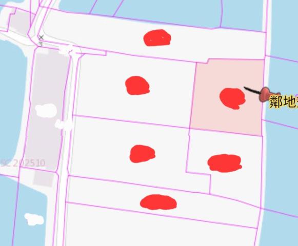 高雄湖內農地-11