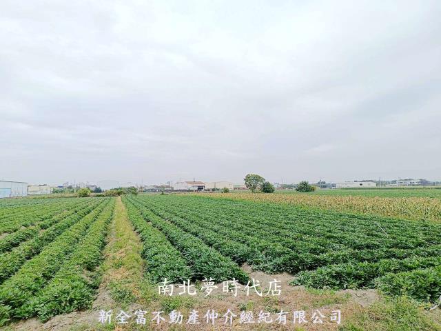 台南新化農地-7