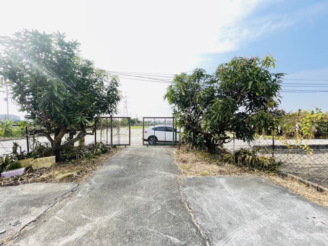 高雄大寮農地-4