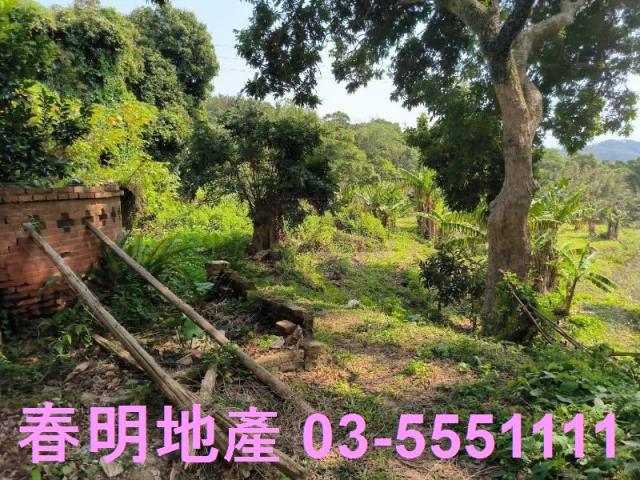 新竹竹東農地-2