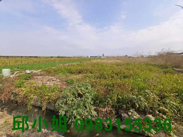 嘉義新港農地-1