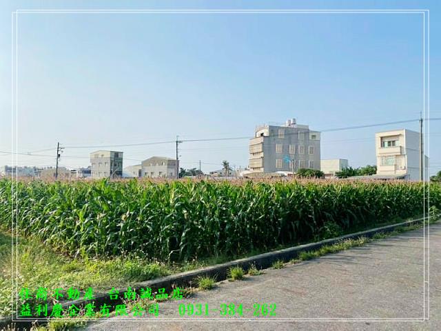 七股優質423坪農地