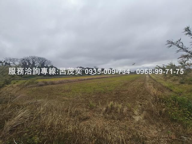 觀音農地-6