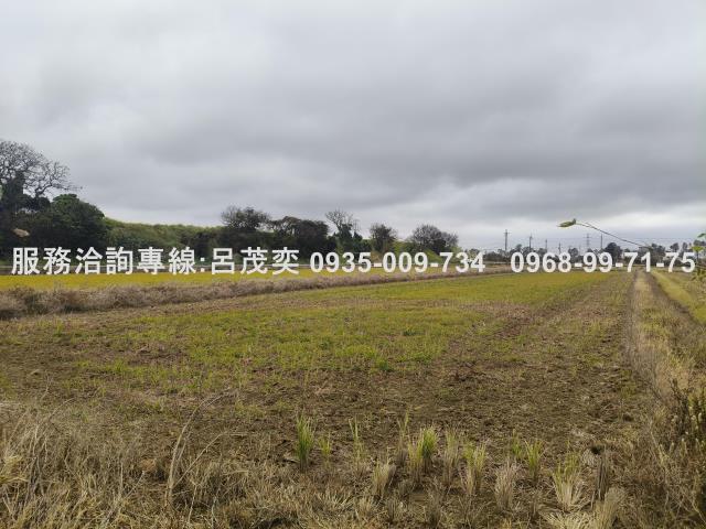 觀音農地-7
