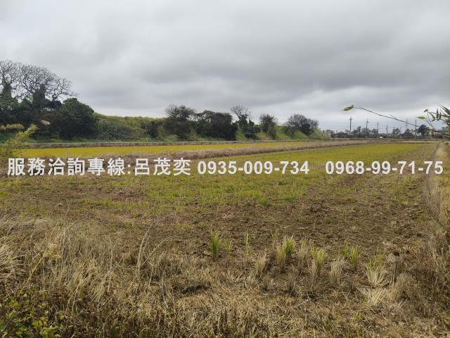 觀音農地-9
