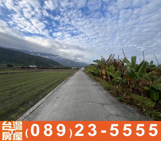 台東鹿野農地-13