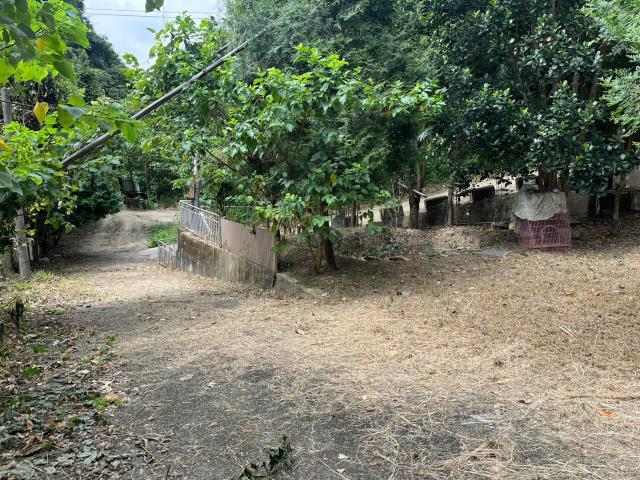 台中太平山坡地-10