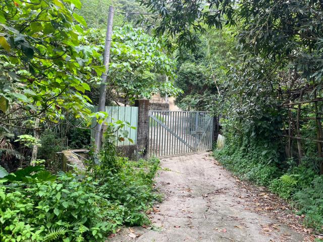 台中太平山坡地-15