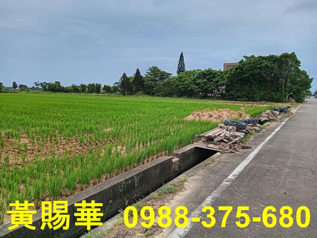 桃園新屋農地-2