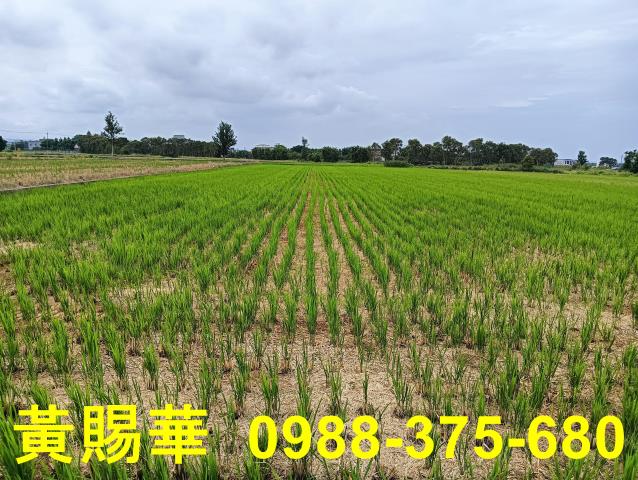 桃園新屋農地-3