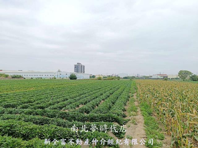台南農地-4