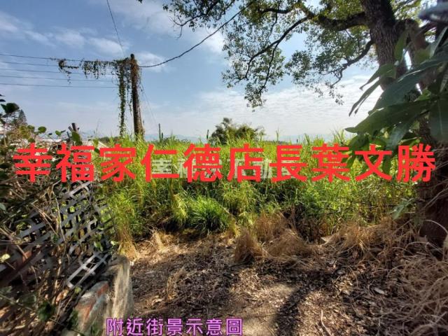 台南玉井農地-8