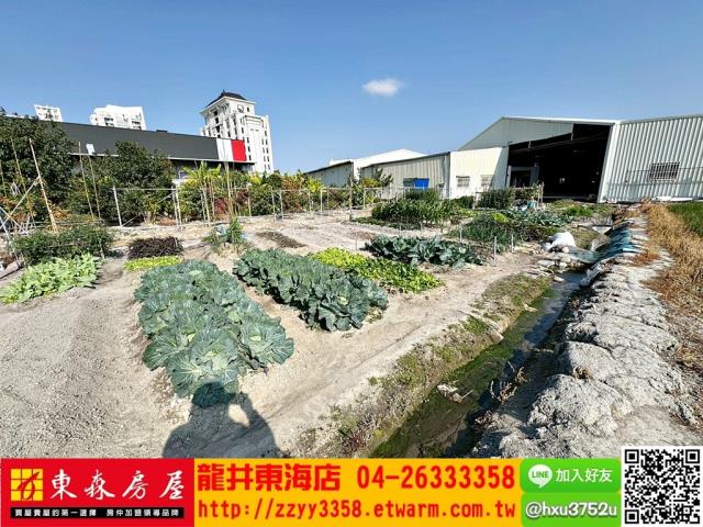 台中西屯農地-4