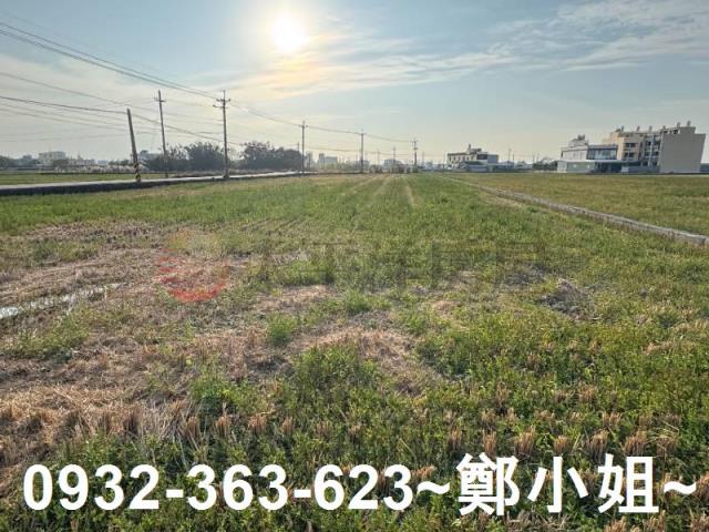 苑裡農地-9