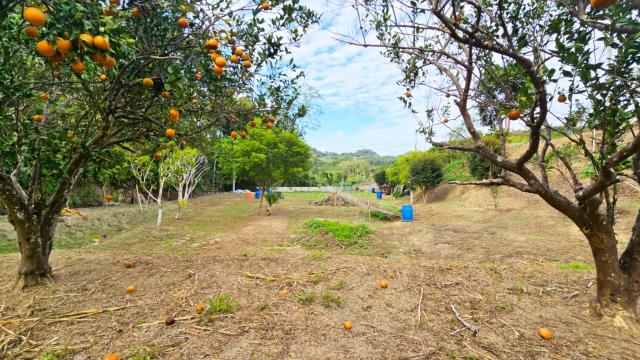 新竹北埔農地-4