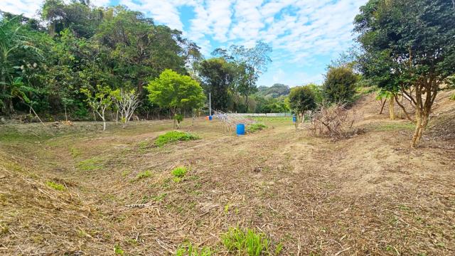 新竹北埔農地-8