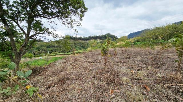 新竹北埔農地-10