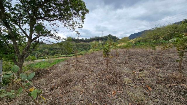 新竹北埔農地-13