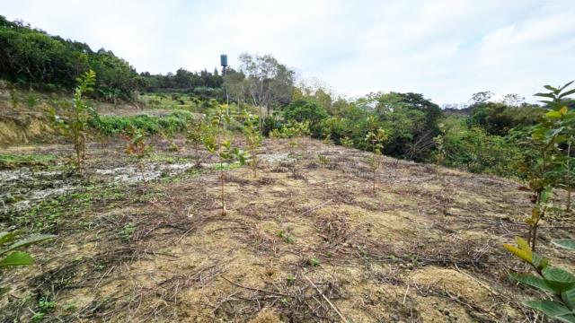 新竹北埔農地-6