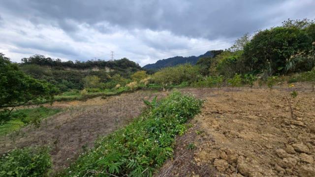 新竹北埔農地-9