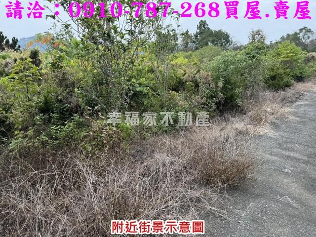 台南楠西農地-8