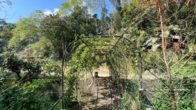 新竹峨眉農地-7