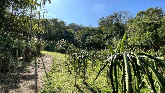 新竹峨眉農地-13