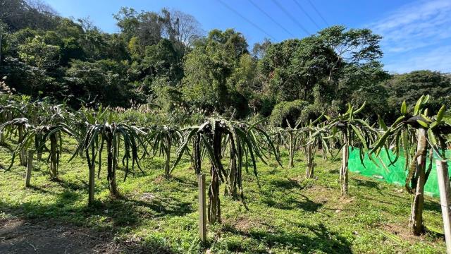 新竹峨眉農地-1