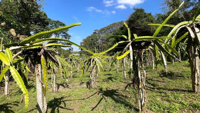 新竹峨眉農地-4