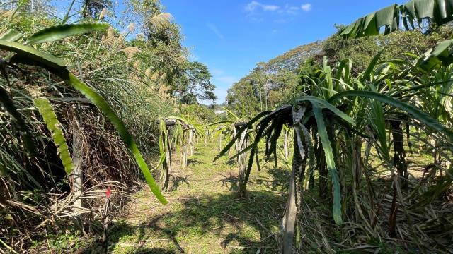 新竹峨眉農地-6